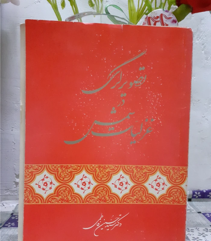 تصویرگری در غزلیات شمس،حسین فاطمی